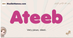 Ateeb muslim girls name and meaning, islamic girls name Ateeb
