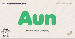 Aun muslim boys name and meaning, islamic boys name Aun