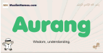 Aurang muslim boys name and meaning, islamic boys name Aurang