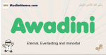 Awadini muslim boys name and meaning, islamic boys name Awadini