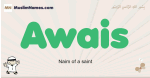 Awais muslim boys name and meaning, islamic boys name Awais