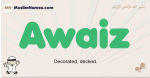 Awaiz muslim boys name and meaning, islamic boys name Awaiz