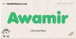 Awamir muslim boys name and meaning, islamic boys name Awamir