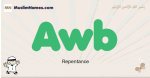 Awb muslim boys name and meaning, islamic boys name Awb