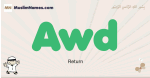 Awd muslim boys name and meaning, islamic boys name Awd