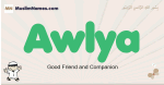 Awlya muslim boys name and meaning, islamic boys name Awlya