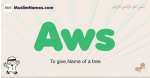 Aws muslim boys name and meaning, islamic boys name Aws