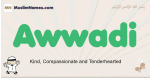 Awwadi muslim boys name and meaning, islamic boys name Awwadi