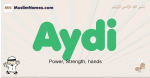Aydi muslim boys name and meaning, islamic boys name Aydi