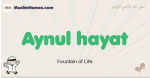 Aynul-hayat muslim boys name and meaning, islamic boys name Aynul-hayat