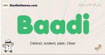Baadi muslim boys name and meaning, islamic boys name Baadi