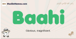Baahi muslim boys name and meaning, islamic boys name Baahi