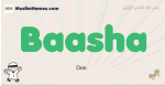 Baasha muslim boys name and meaning, islamic boys name Baasha