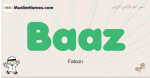 Baaz muslim boys name and meaning, islamic boys name Baaz