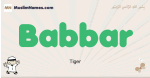 Babbar muslim boys name and meaning, islamic boys name Babbar