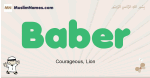 Baber muslim boys name and meaning, islamic boys name Baber