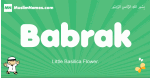 Babrak arabic boys name and meaning, quranic boys name Babrak