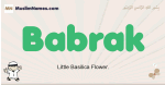 Babrak muslim boys name and meaning, islamic boys name Babrak