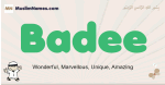 Badee muslim boys name and meaning, islamic boys name Badee