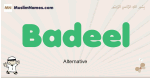 Badeel muslim boys name and meaning, islamic boys name Badeel