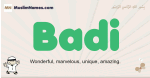 Badi muslim boys name and meaning, islamic boys name Badi