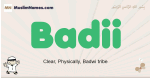 Badii muslim boys name and meaning, islamic boys name Badii