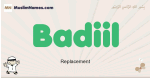 Badiil muslim boys name and meaning, islamic boys name Badiil