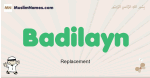 Badilayn muslim boys name and meaning, islamic boys name Badilayn