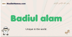 Badiul-alam muslim boys name and meaning, islamic boys name Badiul-alam
