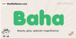 Baha muslim boys name and meaning, islamic boys name Baha