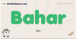 Bahar muslim boys name and meaning, islamic boys name Bahar