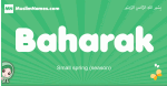 Baharak arabic girl name and meaning, quranic girls name Baharak