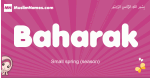 Baharak arabic girls name and meaning, muslim girl name Baharak