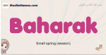 Baharak muslim girls name and meaning, islamic girls name Baharak