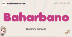 Baharbano muslim girls name and meaning, islamic girls name Baharbano