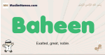 Baheen muslim boys name and meaning, islamic boys name Baheen