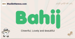 Bahij muslim boys name and meaning, islamic boys name Bahij