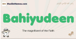Bahiyudeen muslim boys name and meaning, islamic boys name Bahiyudeen