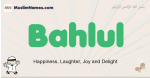 Bahlul muslim boys name and meaning, islamic boys name Bahlul