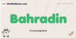 Bahradin muslim boys name and meaning, islamic boys name Bahradin