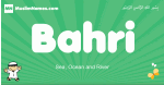 Bahri arabic boys name and meaning, quranic boys name Bahri
