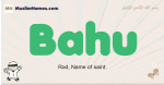 Bahu muslim boys name and meaning, islamic boys name Bahu