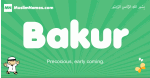 Bakur arabic boys name and meaning, quranic boys name Bakur