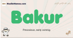 Bakur muslim boys name and meaning, islamic boys name Bakur