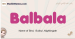 Balbala muslim girls name and meaning, islamic girls name Balbala