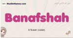 Banafshah muslim girls name and meaning, islamic girls name Banafshah