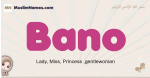 Bano muslim girls name and meaning, islamic girls name Bano