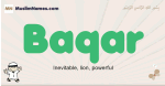 Baqar muslim boys name and meaning, islamic boys name Baqar