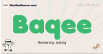 Baqee muslim boys name and meaning, islamic boys name Baqee