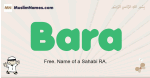 Bara muslim boys name and meaning, islamic boys name Bara